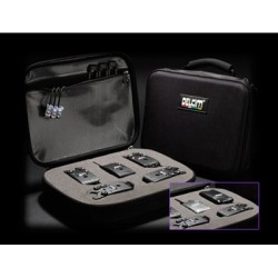 Delkim кутия за 4 сиг. + станция