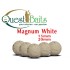 Quest Bairs MAGNUM WHITE