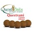 Questrami Boilies