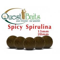 Quest  Baits SPICY SPIRULINA BOILIES
